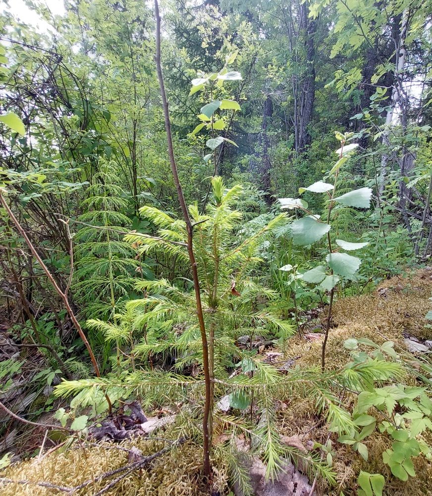 Photograph by Степан Павловский