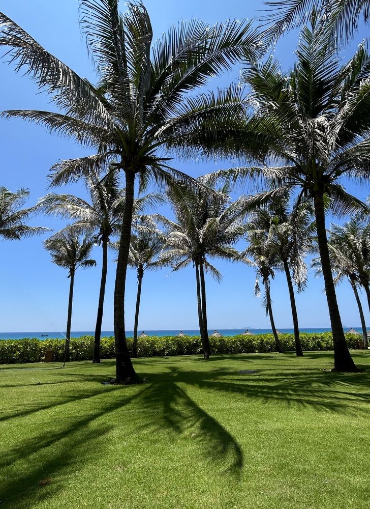 Photograph by Анар Амирова