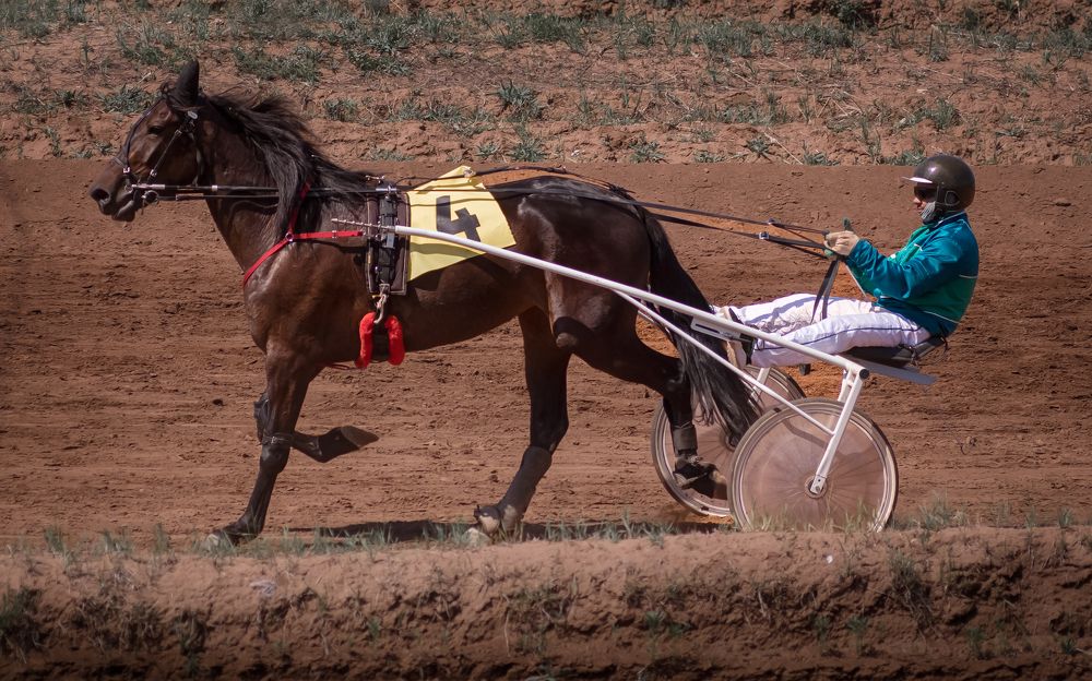 Конные скачки "Сабантуй -2023г"