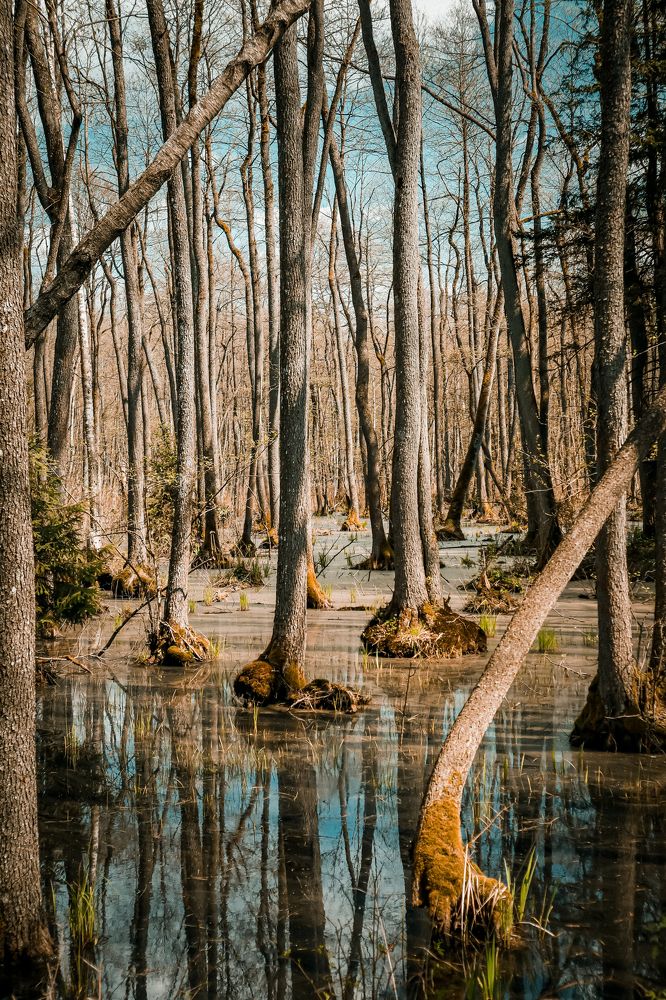 Photograph by Павел Арсенович