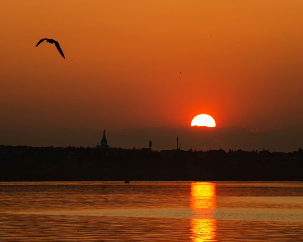 Фотография автора олег романов