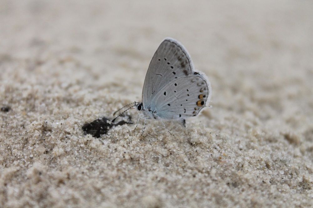 Photograph by Оксана Михайлова