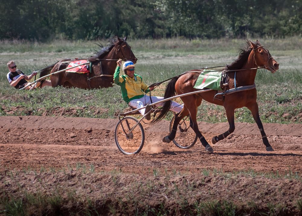 Photograph by Тамара Вотинцева