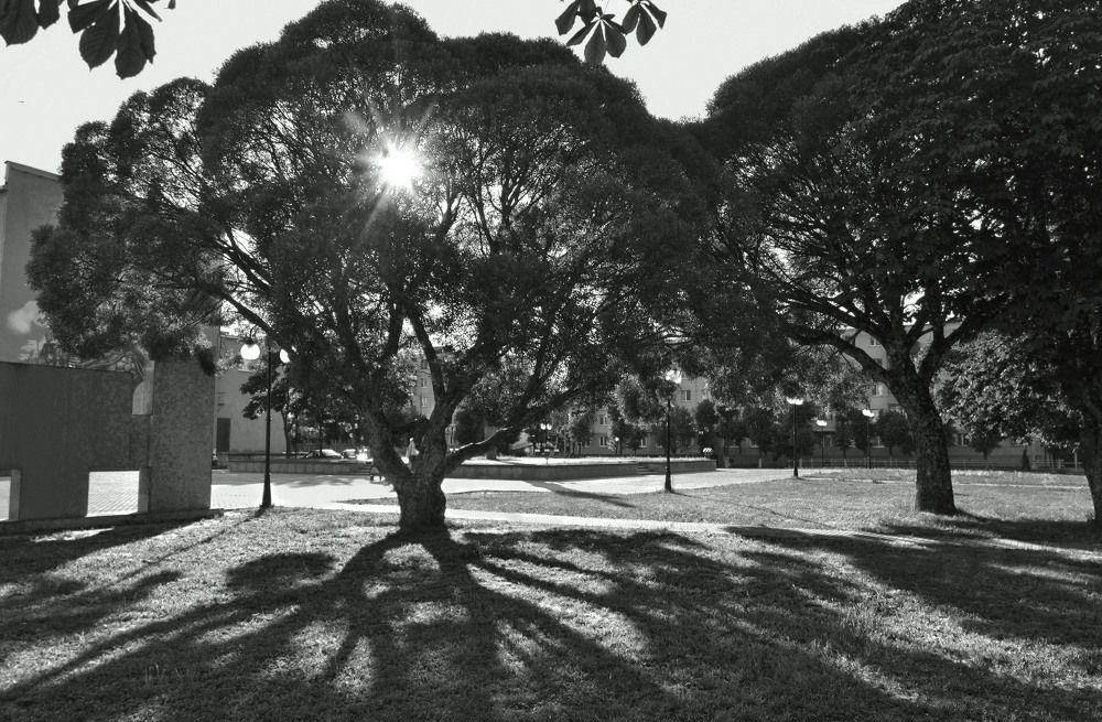 Photograph by Александра Климина