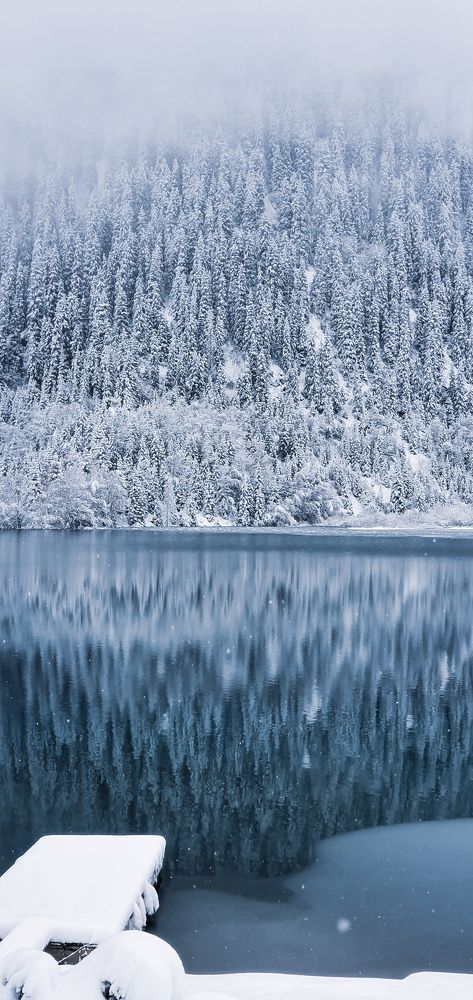 Фотография автора Ольга Шишук