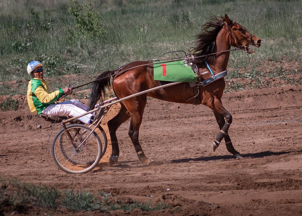 Photograph by Тамара Вотинцева
