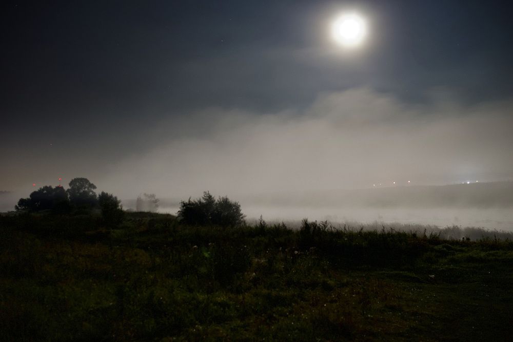 Photograph by Михаил Копанс