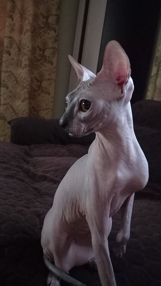 Фотография автора Евгения Зайцева