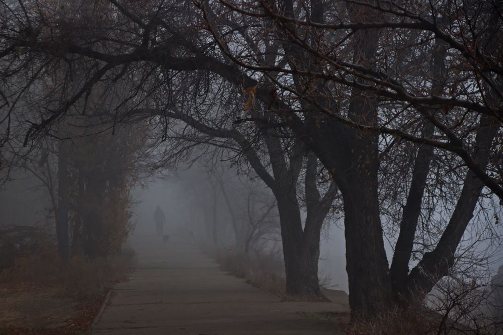 Photograph by Марина