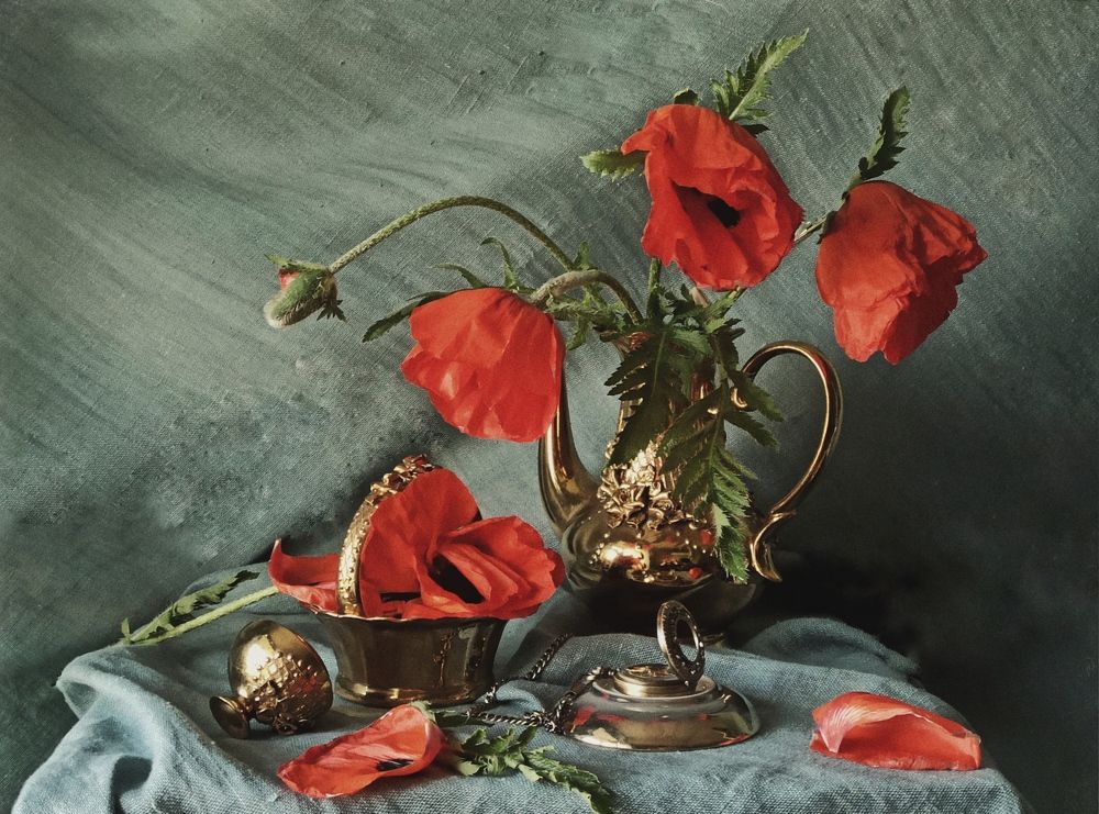 Photograph by Новикова Елена Сергеевна