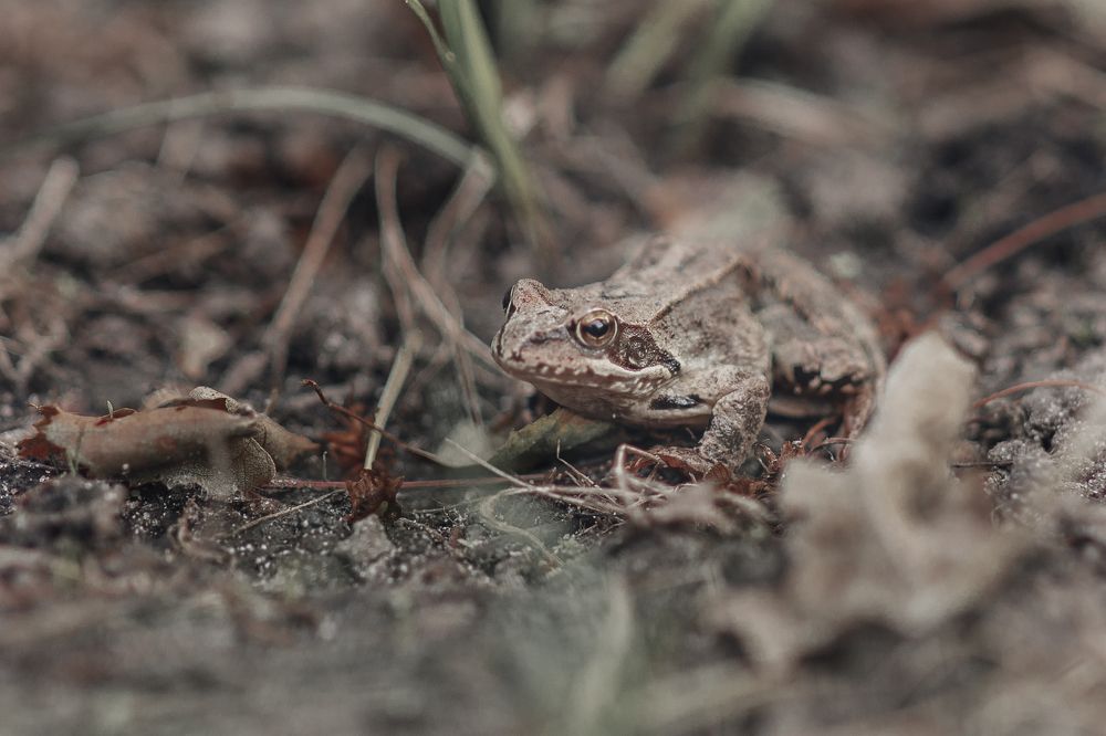 Photograph by Ольга Хентова