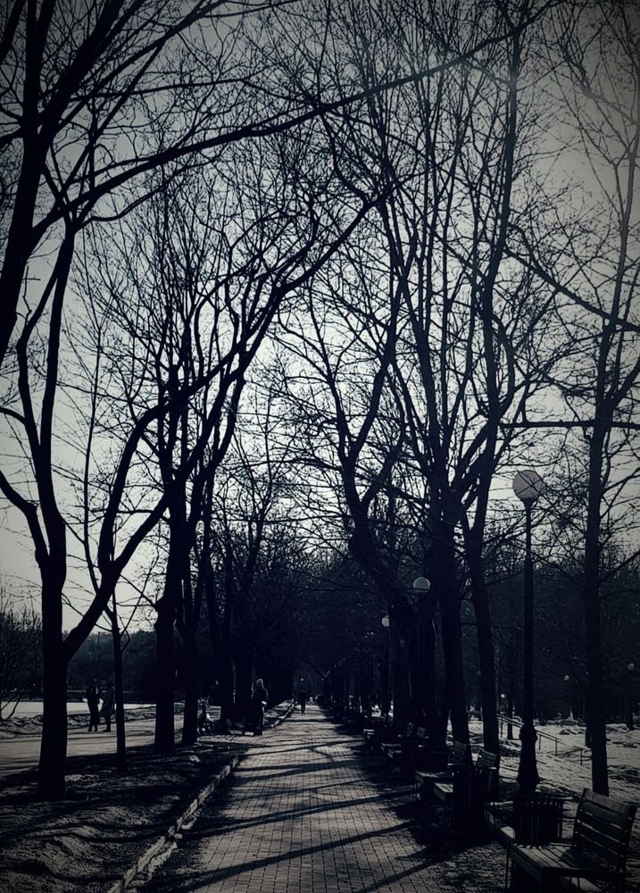 Photograph by Каковкина Ольга