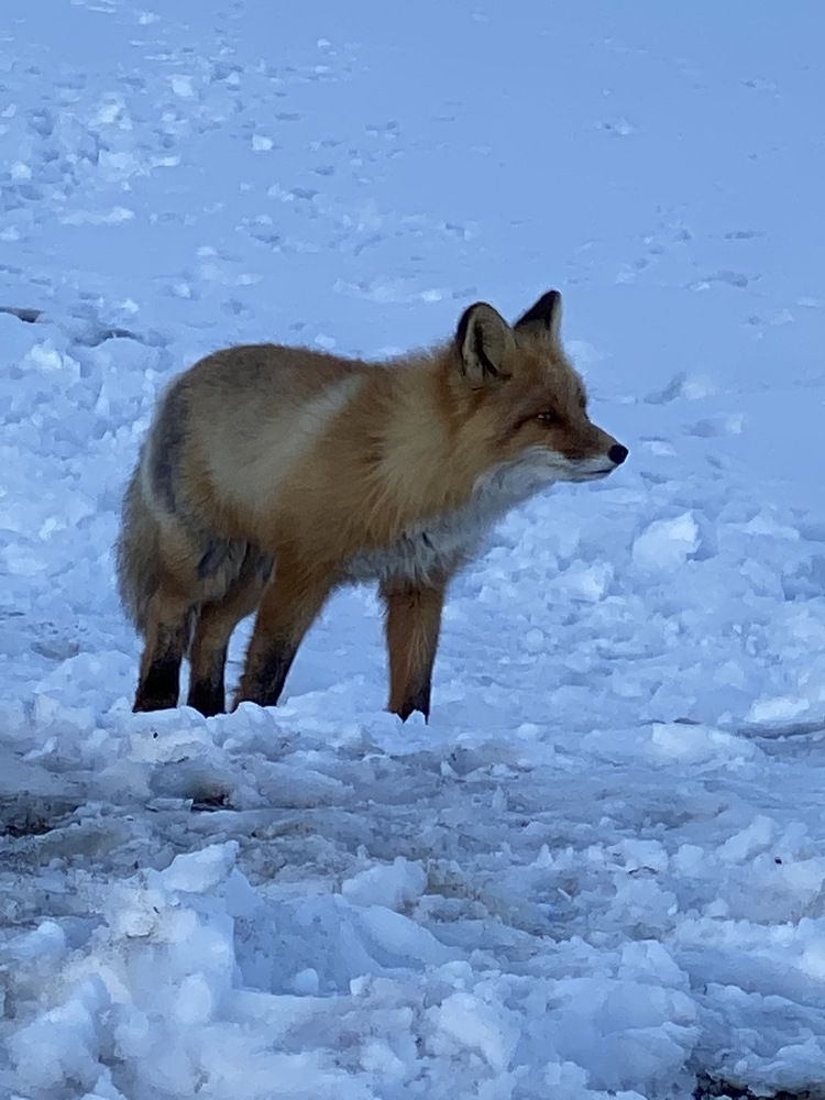 Фотография автора Наталья Вертугина