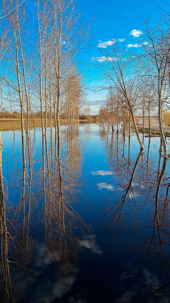 Photograph by Мария Королькова