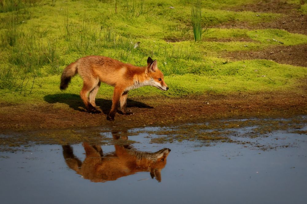 Photograph by SCOTT DUFFIELD