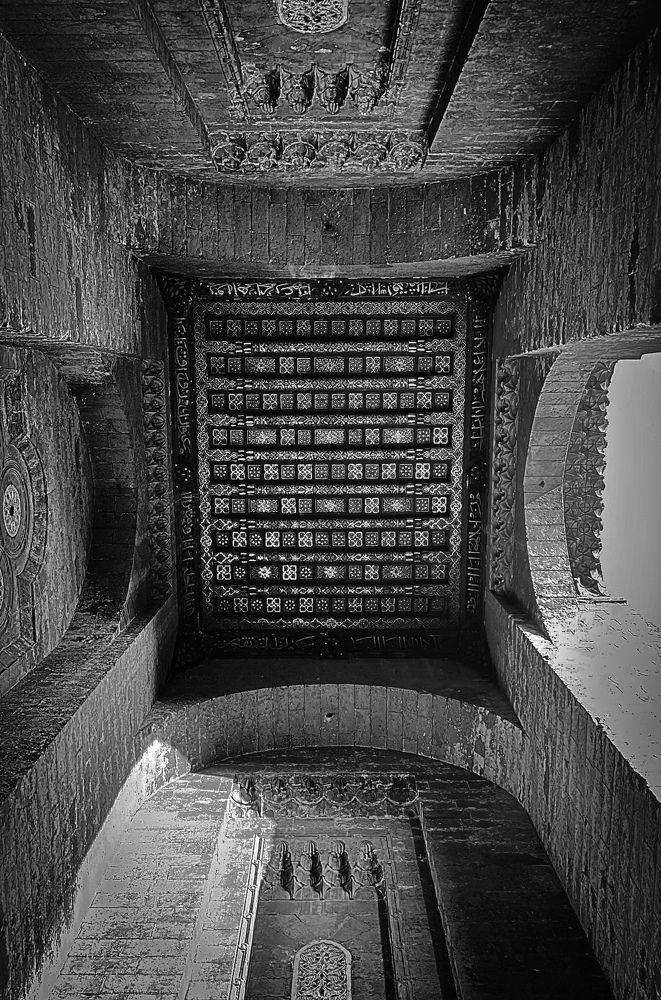 Photograph by sohila abdelaziz