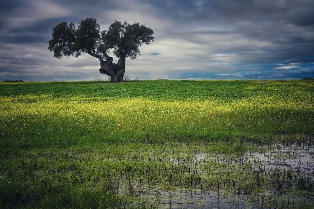 Photograph by Наталья Пирогова