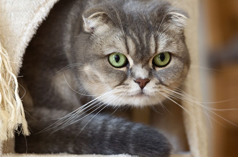 Фотография автора Андрей Неденко