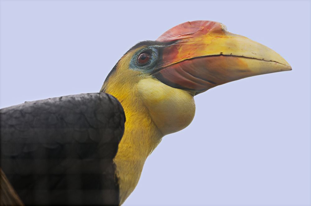 Фотография автора Андрей Неденко