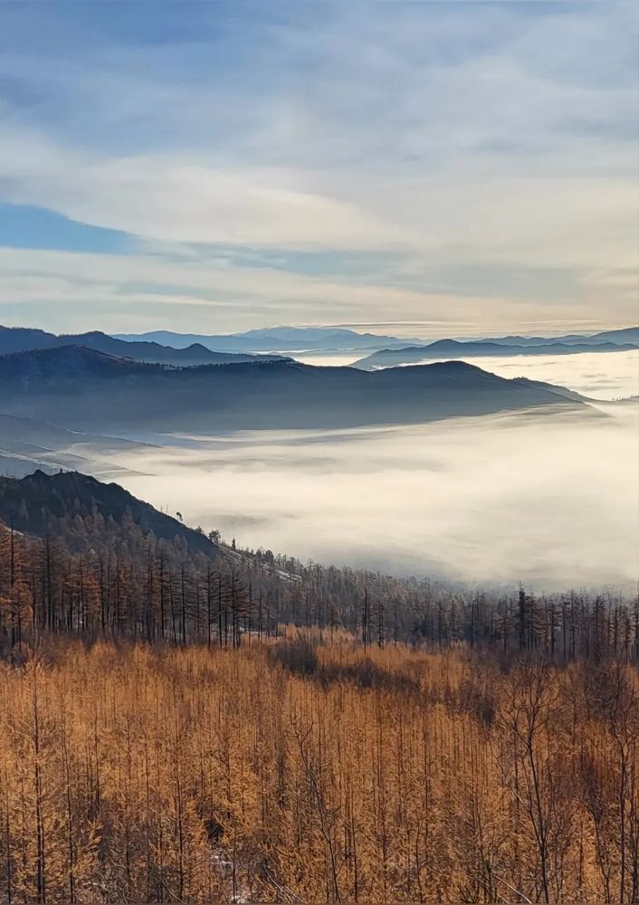 Photograph by Надежда Панкратова