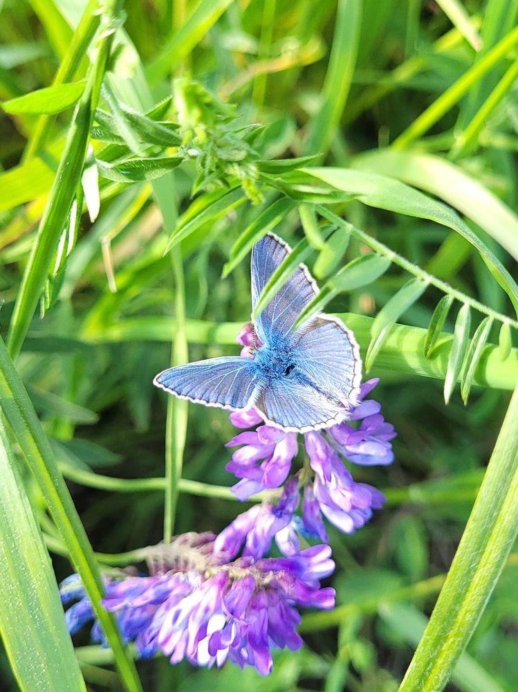 Фотография автора Анастасия Шабалтас