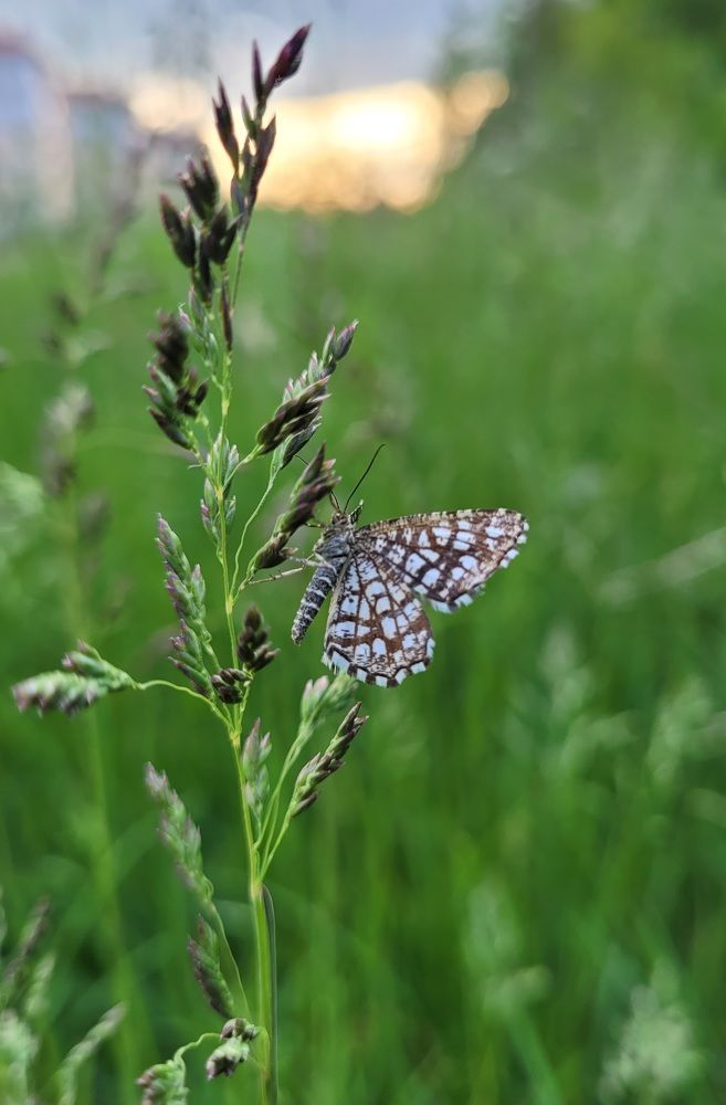 Фотография автора Анастасия Шабалтас