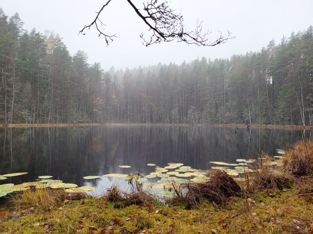 Озеро Мёртвое (Dead Lake)