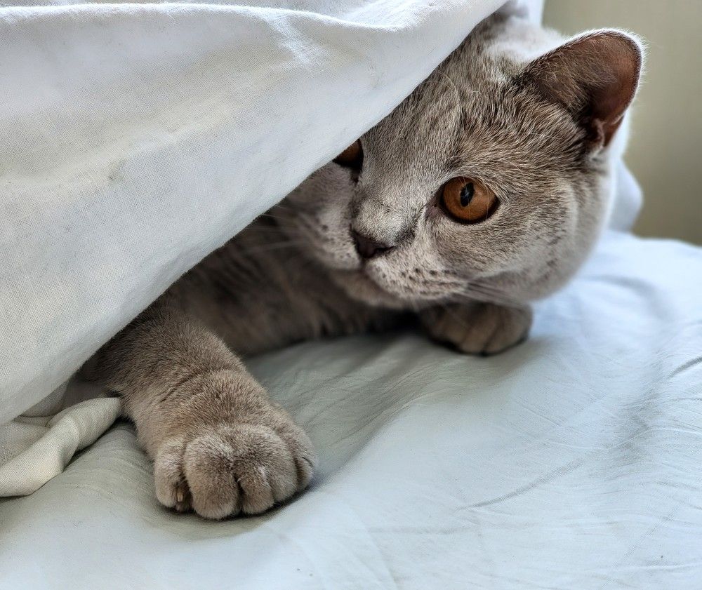 Photograph by Надежда Кудрявцева