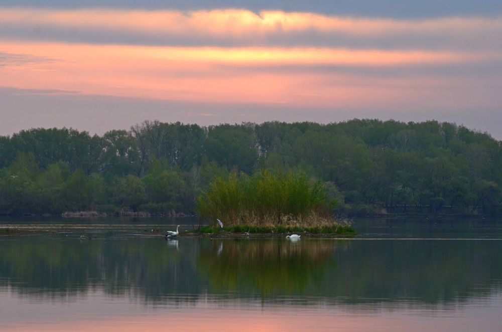 Photograph by Александр Яценко