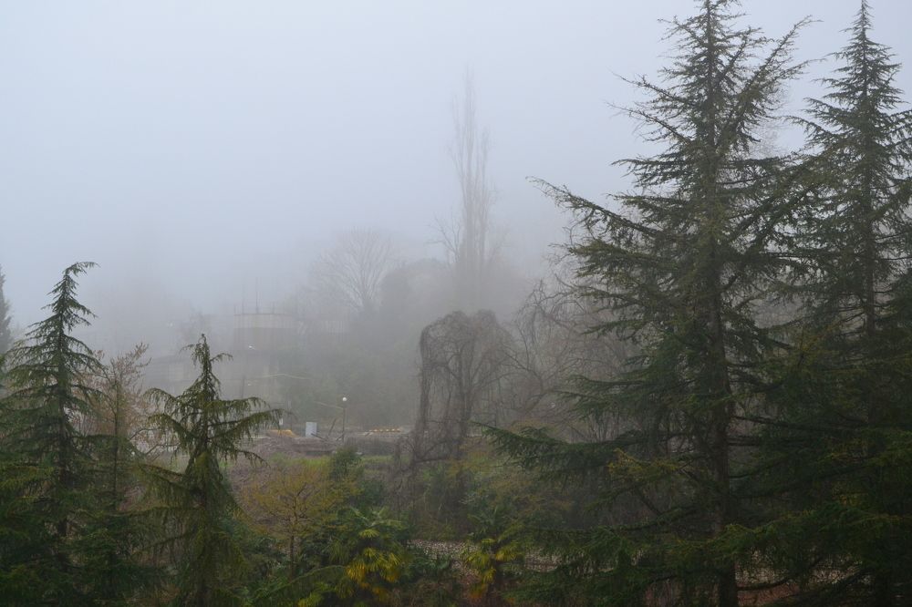 Photograph by Александр Яценко