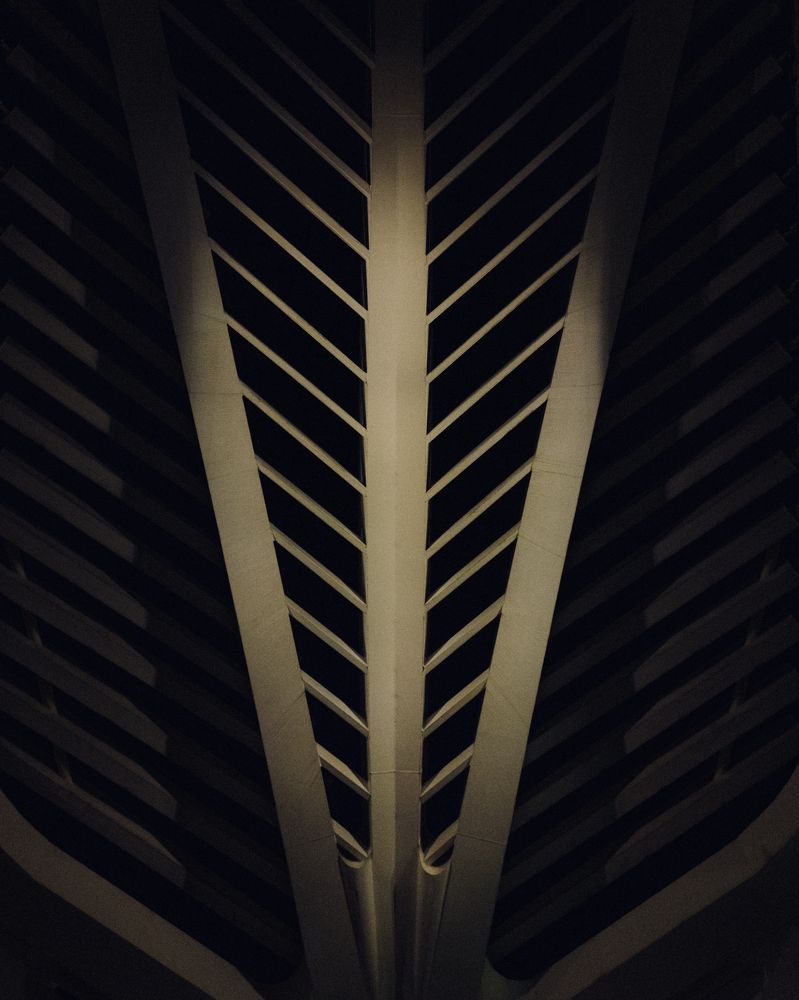 Photograph by Allan Carvalho