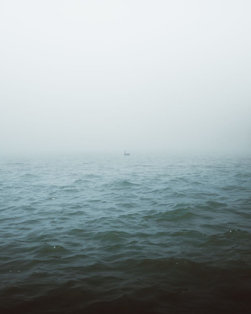 Photograph by Allan Carvalho