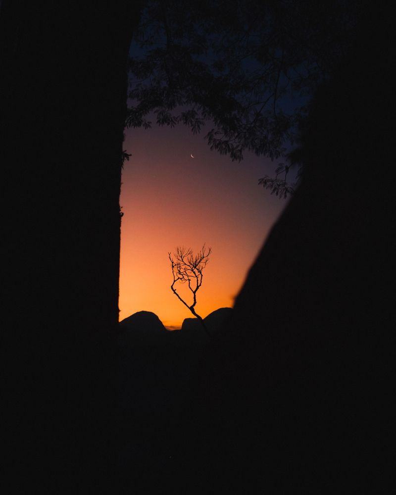 Photograph by Allan Carvalho