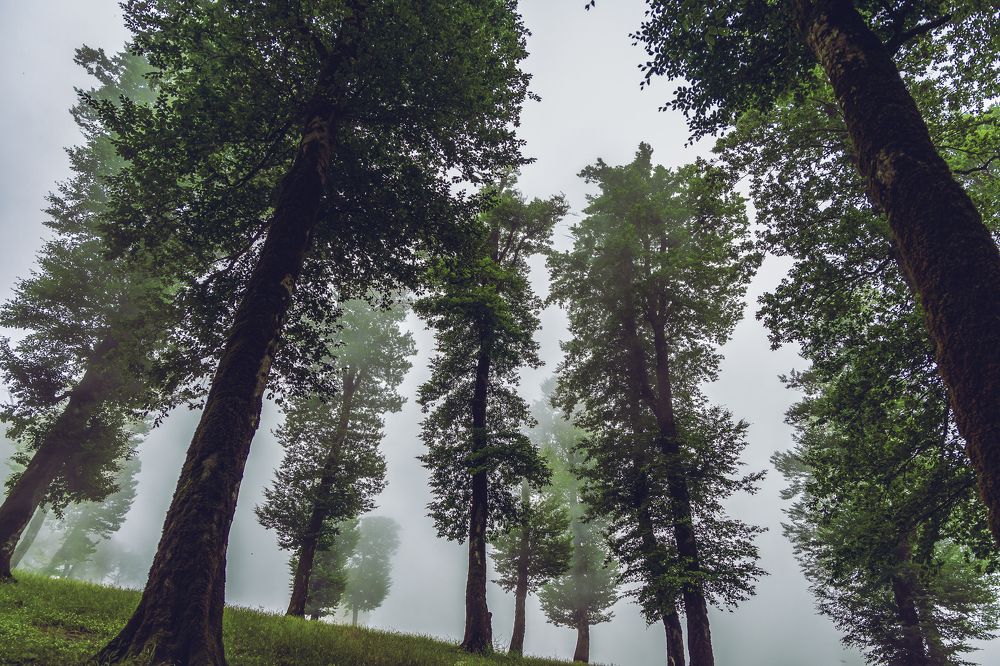 Фотография автора Nimabi Photography