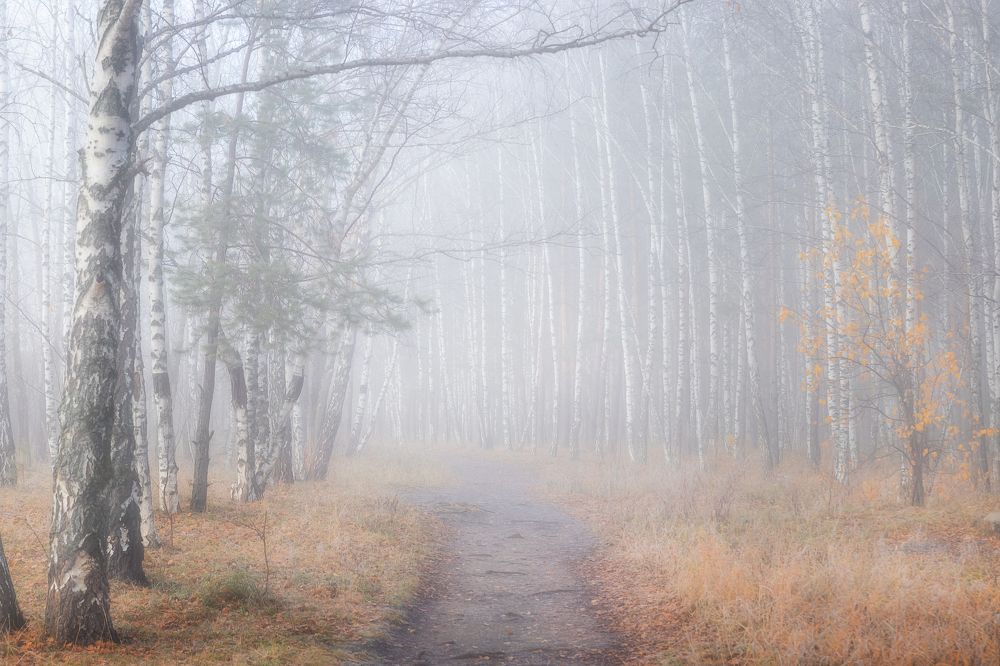 Утро октября