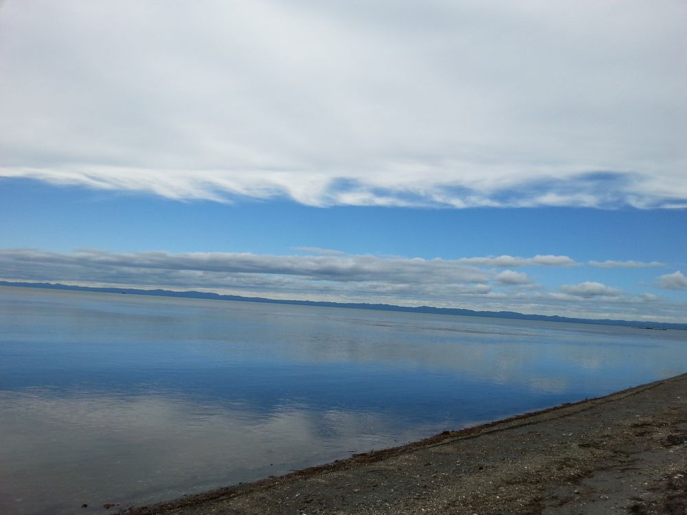 Photograph by Жанна Регор