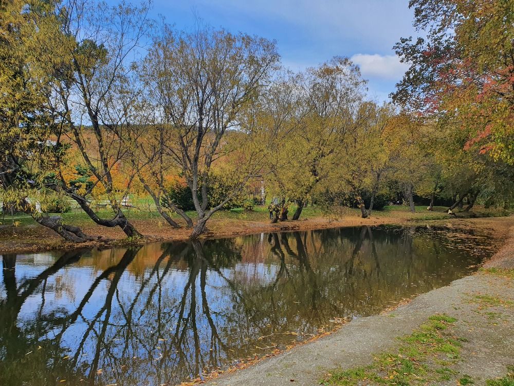 Photograph by Жанна Регор