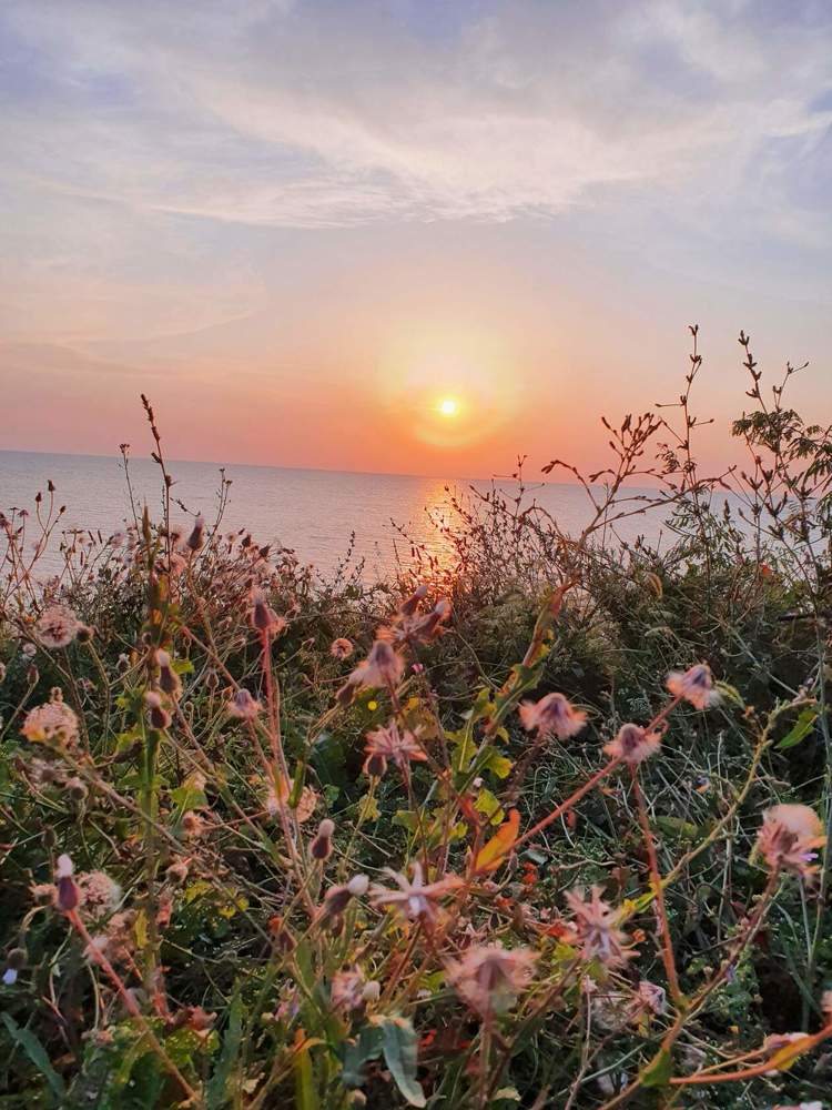 Photograph by Жанна Регор