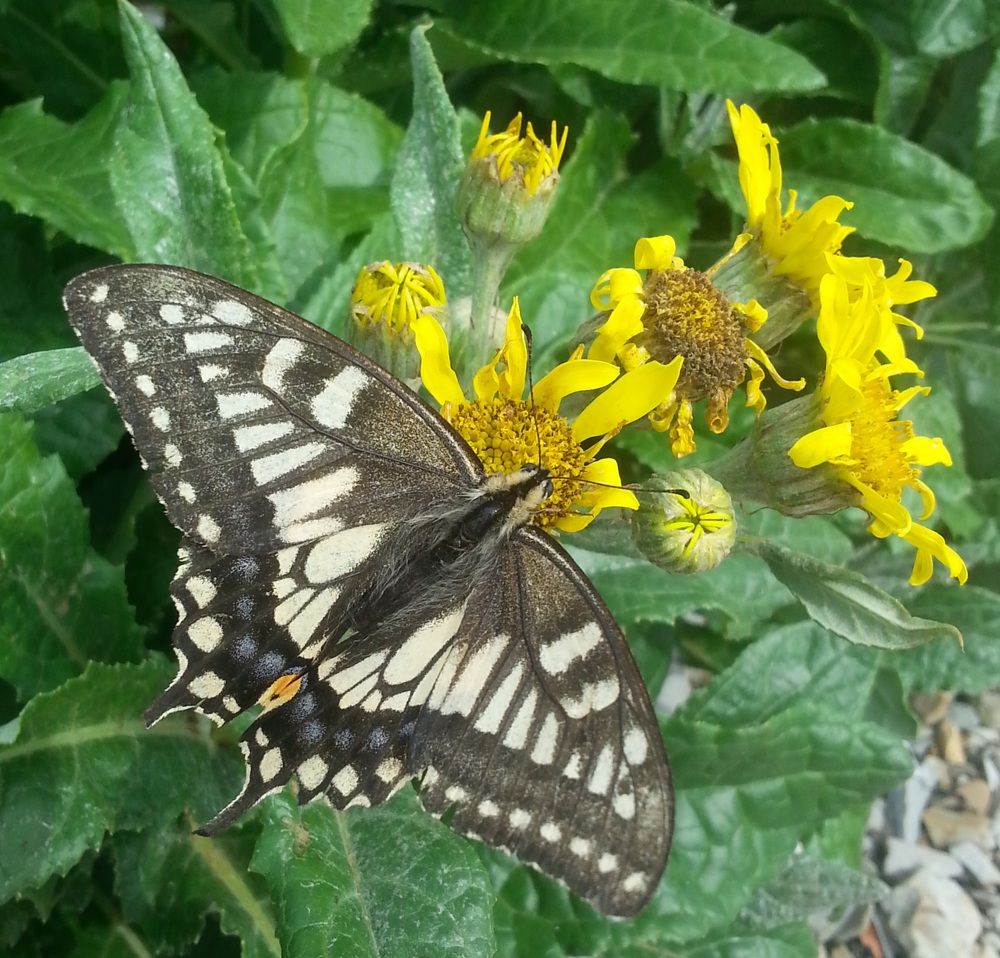 Photograph by Жанна Регор