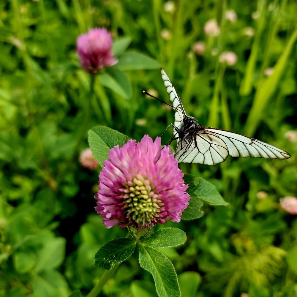 Photograph by Степан Павловский