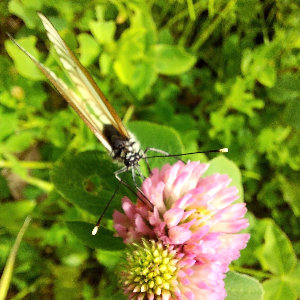 Photograph by Степан Павловский