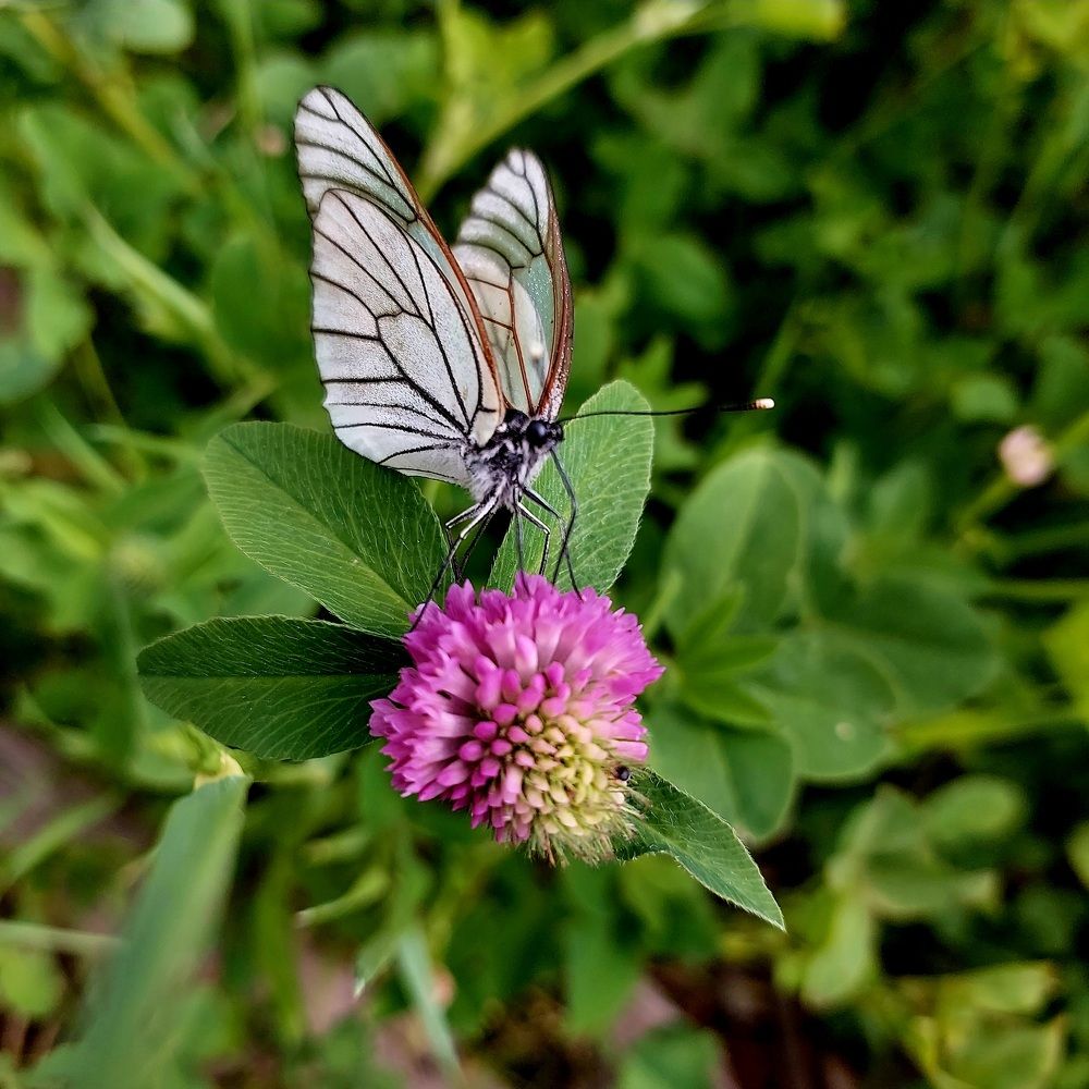 Photograph by Степан Павловский