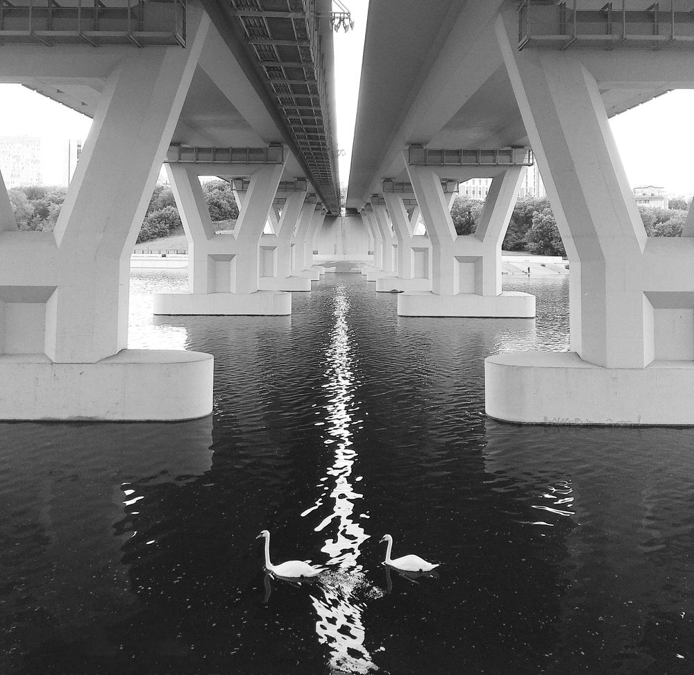 Photograph by Татьяна Кунц