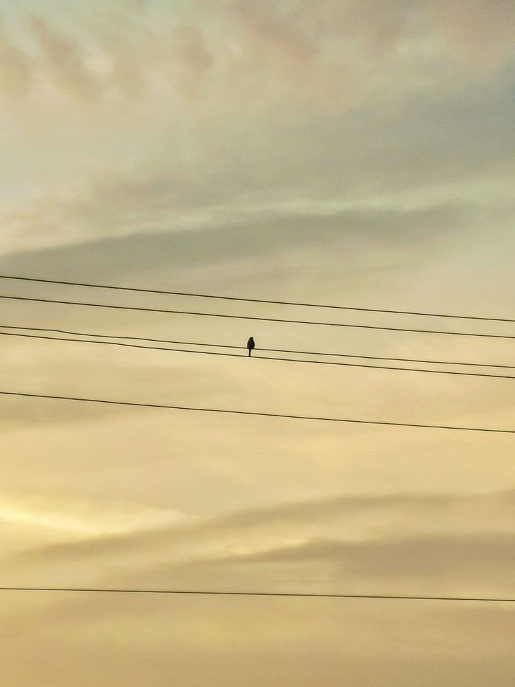 Photograph by Елена Артёменко