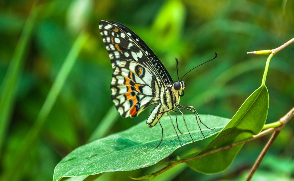 Photograph by Татьяна