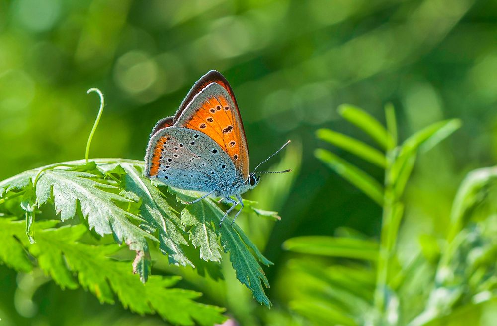 Photograph by Татьяна