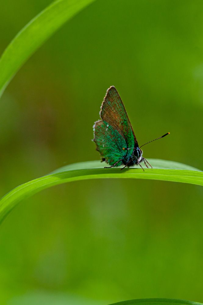 Photograph by Денис Дорошенко