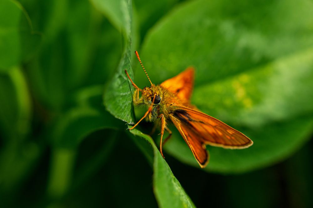 Photograph by Денис Дорошенко