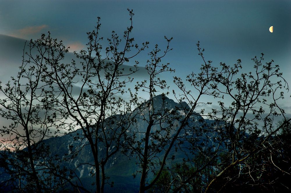 Photograph by Mihalis Konstantinidis