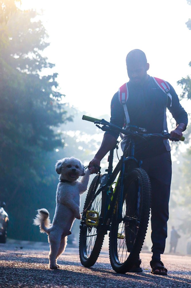 Photograph by Anoop Makwana